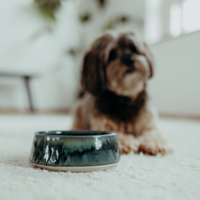 geschenk-fuer-hundebesitzer-geschenke-fuer-den-hund