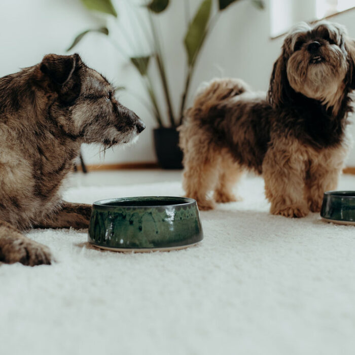 geschenkidee-fuer-hundebesitzer