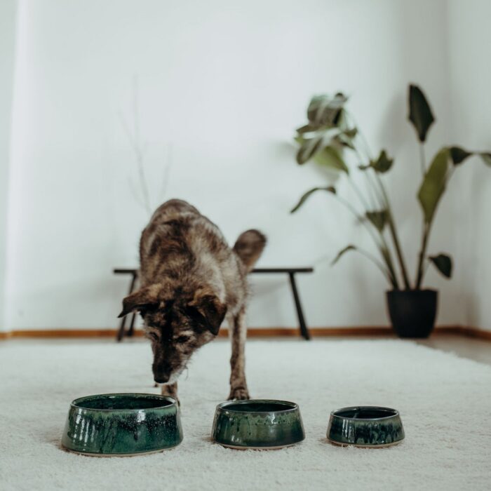 keramik-fuer-gro?e-hunde